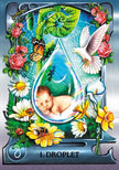 Water Alchemy Oracle by Alexandra Wenman – 144 Pages (English)