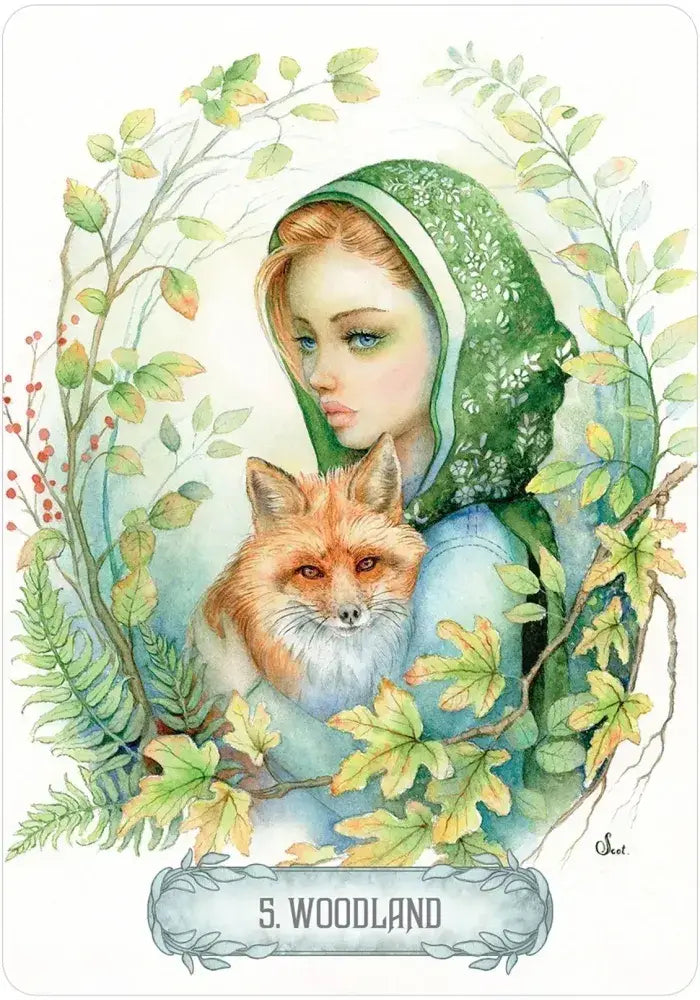 Enchanting Fantasy Oracle Deck by Scot Howden (49 Cards + Illustrated Guidebook)