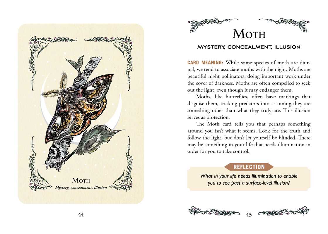 Green Witch's Oracle Deck by Arin Murphy-Hiscock – Flashcards Set, 100 Pages, English, Botanical Oracle Deck, Green Witchcraft, Nature Wisdom, Herbal Guidance, and Spiritual Growth