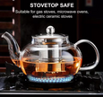 Glass Teapot With Infuser and Lid (13.5oz) – Stainless Steel Strainer