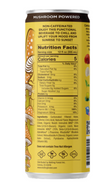 Melting Forest Coconut Pineapple Mushroom Drink (12 fl oz) — Zero Sugar