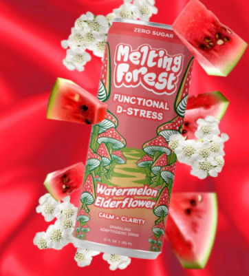 Melting Forest Watermelon Elderflower Mushroom Drink (12 fl oz) — Zero Sugar
