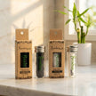 Vegan Bamboo Floss |Charcoal Infused