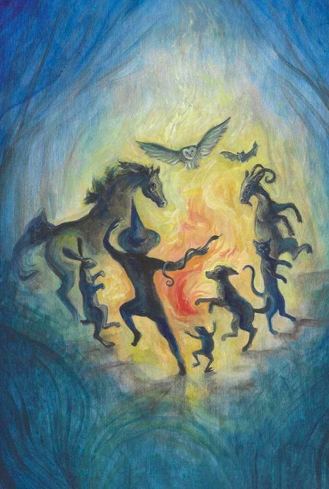 A Witch’s Ally Animal Familiars Oracle Deck – 48 Cards + Booklet – by Dodie Graham McKay and Laura Tempest Zakroff