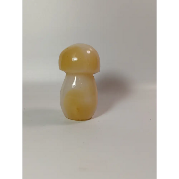 🍄✨ Agate Mushroom 2.54 Inch – Harmony and Earth Magic ✨🍄 - Carvings