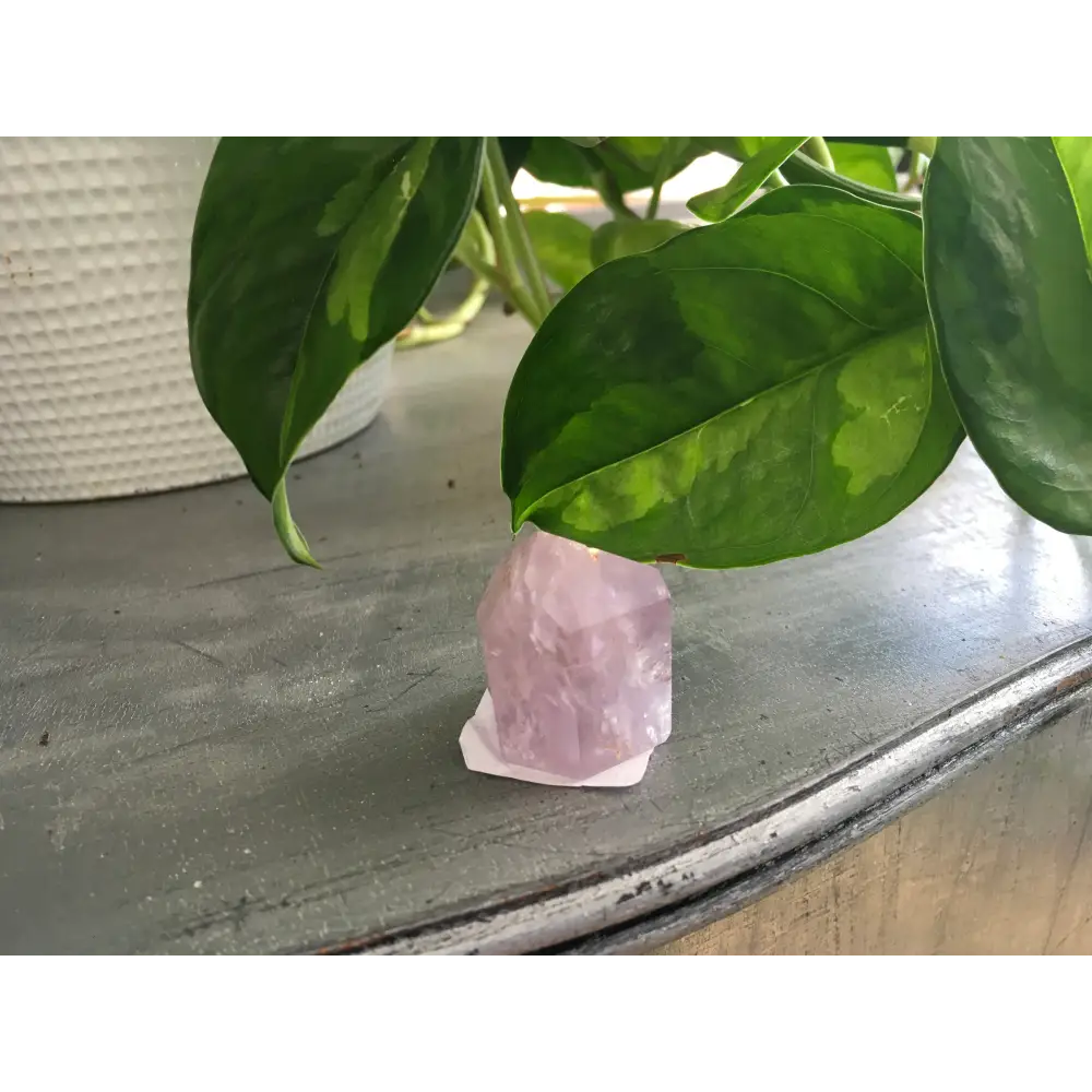 💜✨ Amethyst Point – Spiritual Clarity and Calming ✨💜 - 1 - Towers
