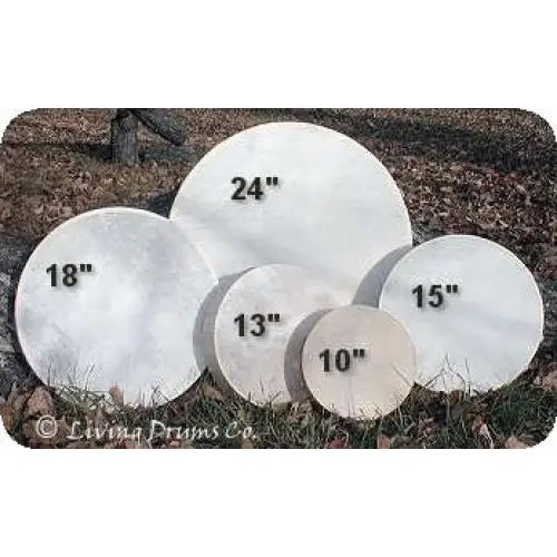 Authentic Native American Buffalo Drums - Vibrational and Sound