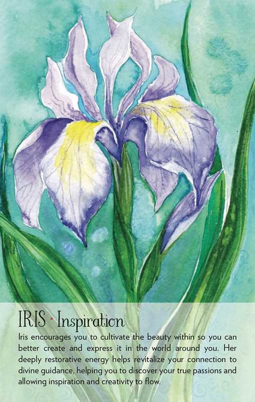 Soulflower Plant Spirit Oracle by Lisa Estabrook – 176 Pages (English)