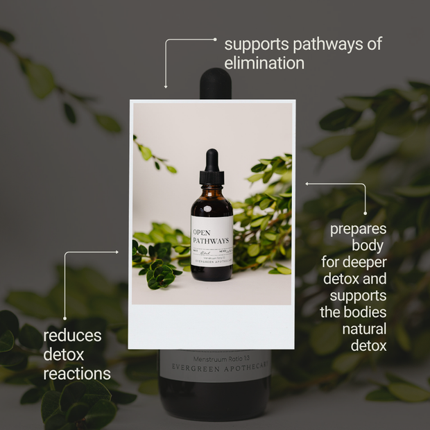 Open Pathways Tincture (2oz)