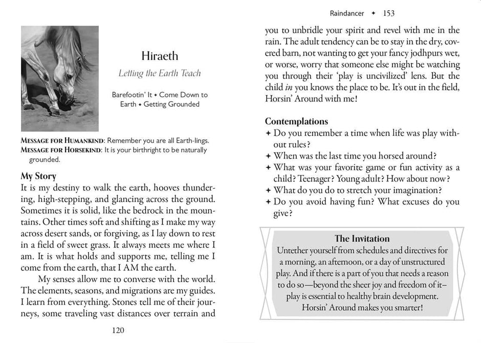Council of Horses Oracle by Sandra Wallin: Flashcards; 192 pages / English
