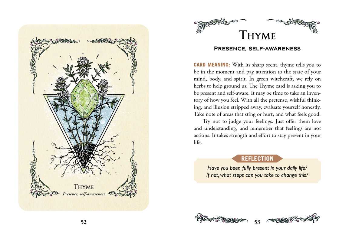 Green Witch's Oracle Deck by Arin Murphy-Hiscock – Flashcards Set, 100 Pages, English, Botanical Oracle Deck, Green Witchcraft, Nature Wisdom, Herbal Guidance, and Spiritual Growth