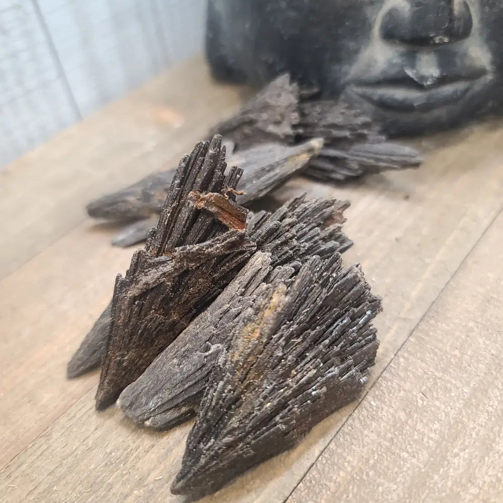 Black Kyanite Fans Specimens - Specimens