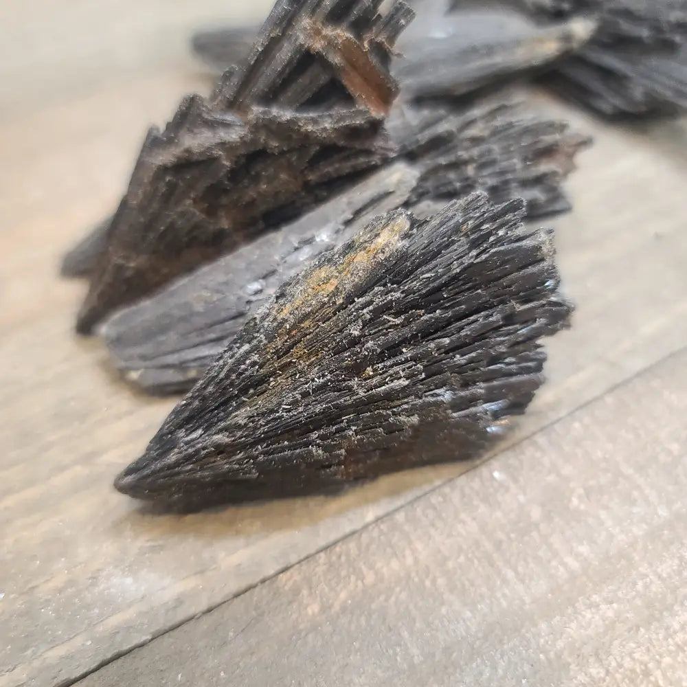 Black Kyanite Fans Specimens - Specimens