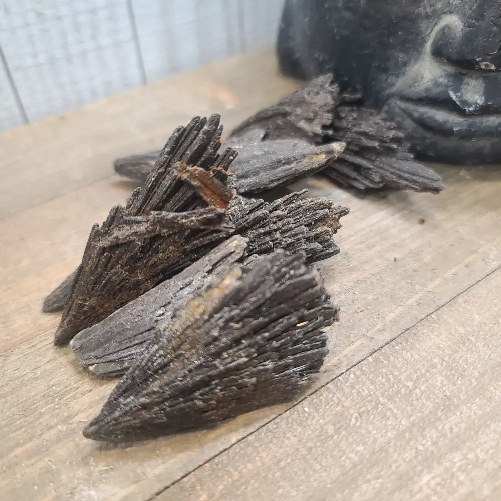 Black Kyanite Fans Specimens - Specimens