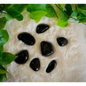 Black Obsidian Palms Assorted - PALM
