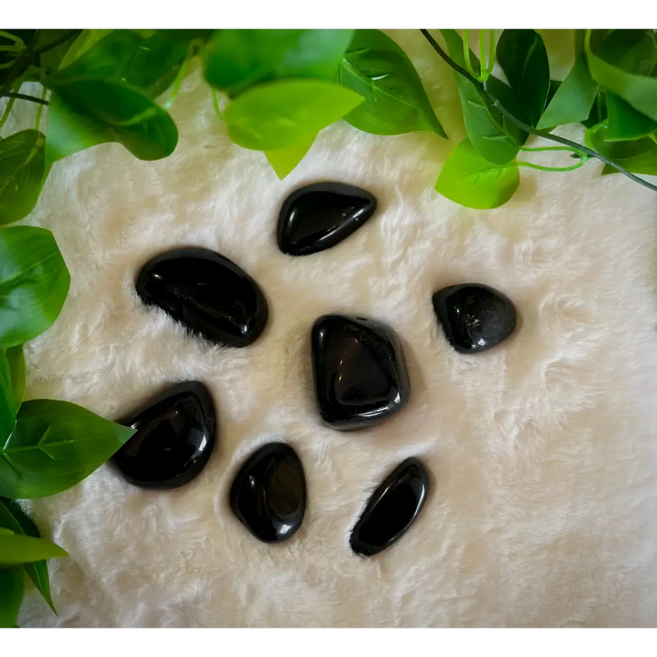 Black Obsidian Palms Assorted - PALM