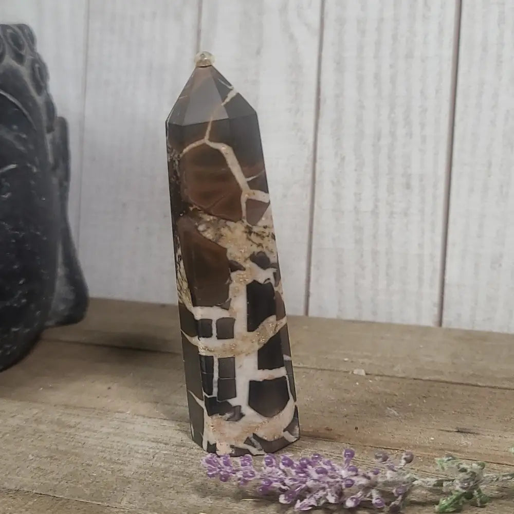Hand-polished Black Septarian stone featuring bold yellow, brown, and black patterns, displayed on a white background.