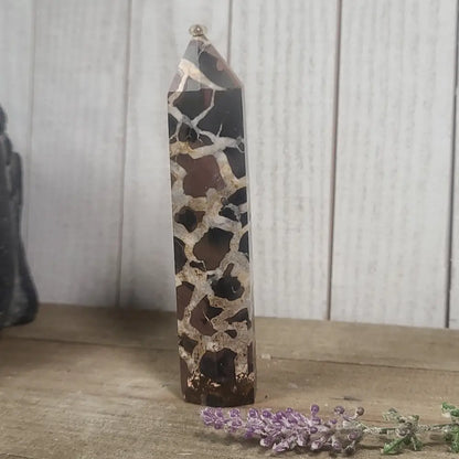 Hand-polished Black Septarian stone featuring bold yellow, brown, and black patterns, displayed on a white background.