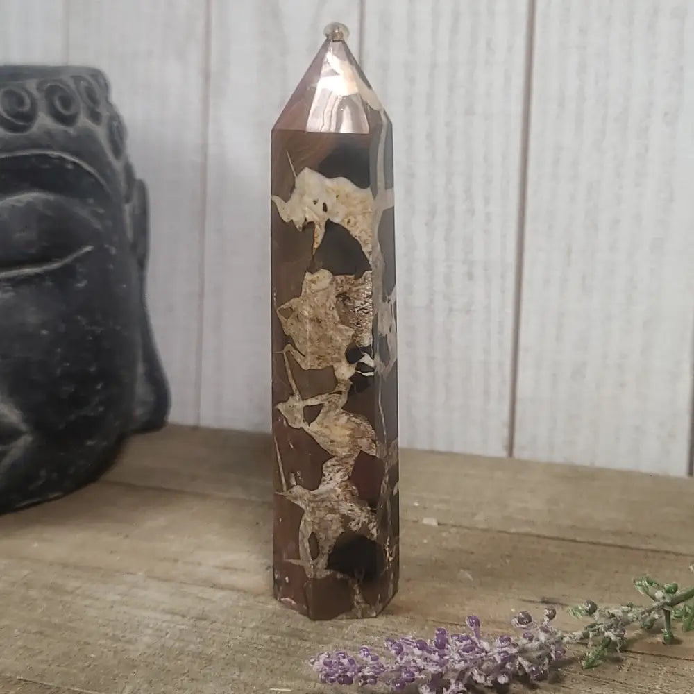 Hand-polished Black Septarian stone featuring bold yellow, brown, and black patterns, displayed on a white background.