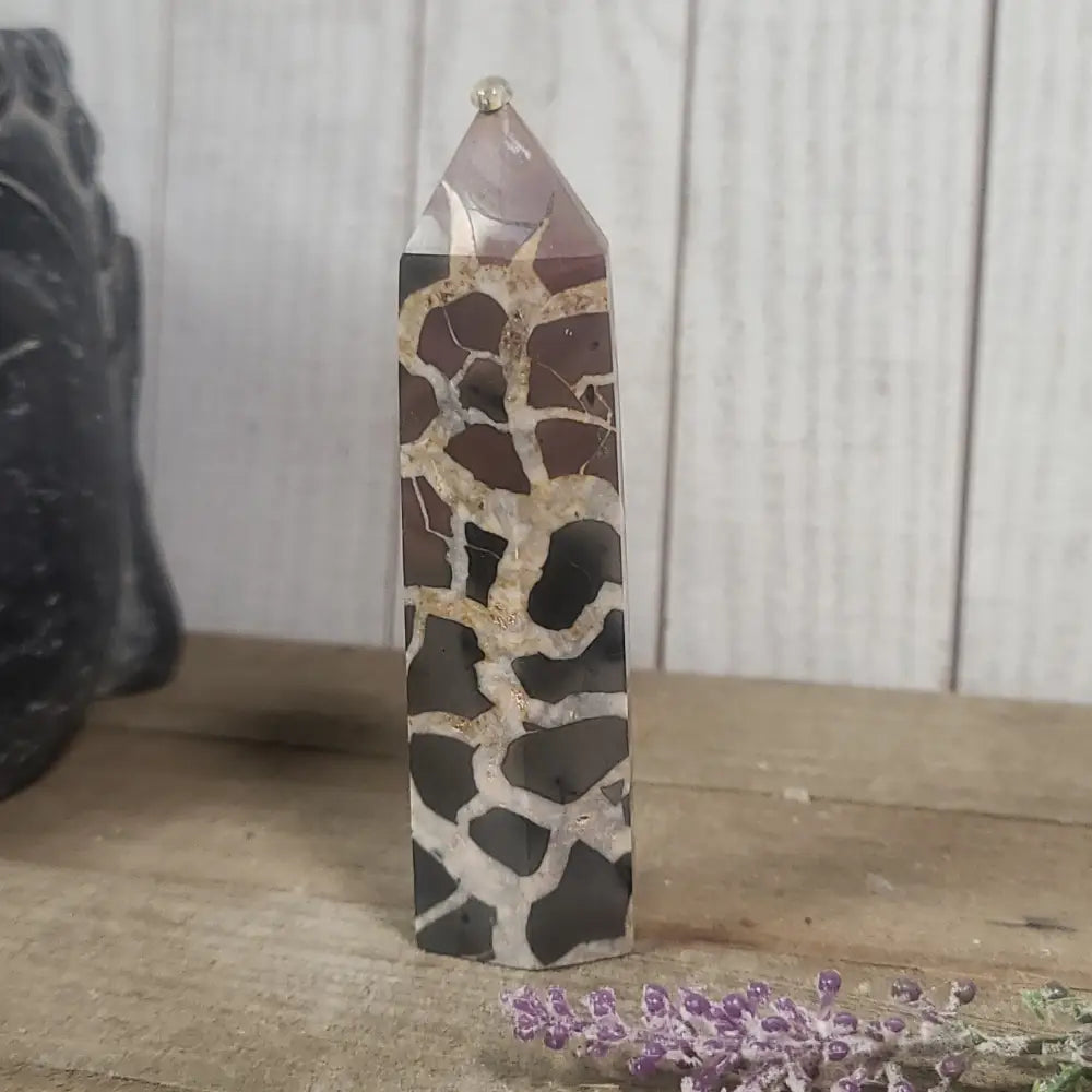 Hand-polished Black Septarian stone featuring bold yellow, brown, and black patterns, displayed on a white background.