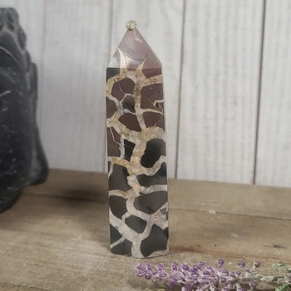 Hand-polished Black Septarian stone featuring bold yellow, brown, and black patterns, displayed on a white background.