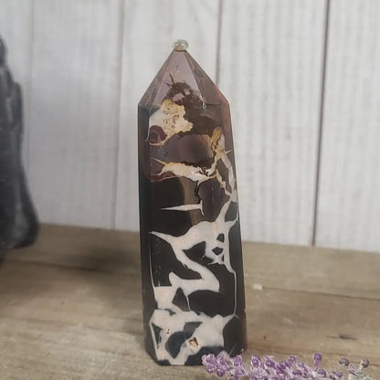 Hand-polished Black Septarian stone featuring bold yellow, brown, and black patterns, displayed on a white background.
