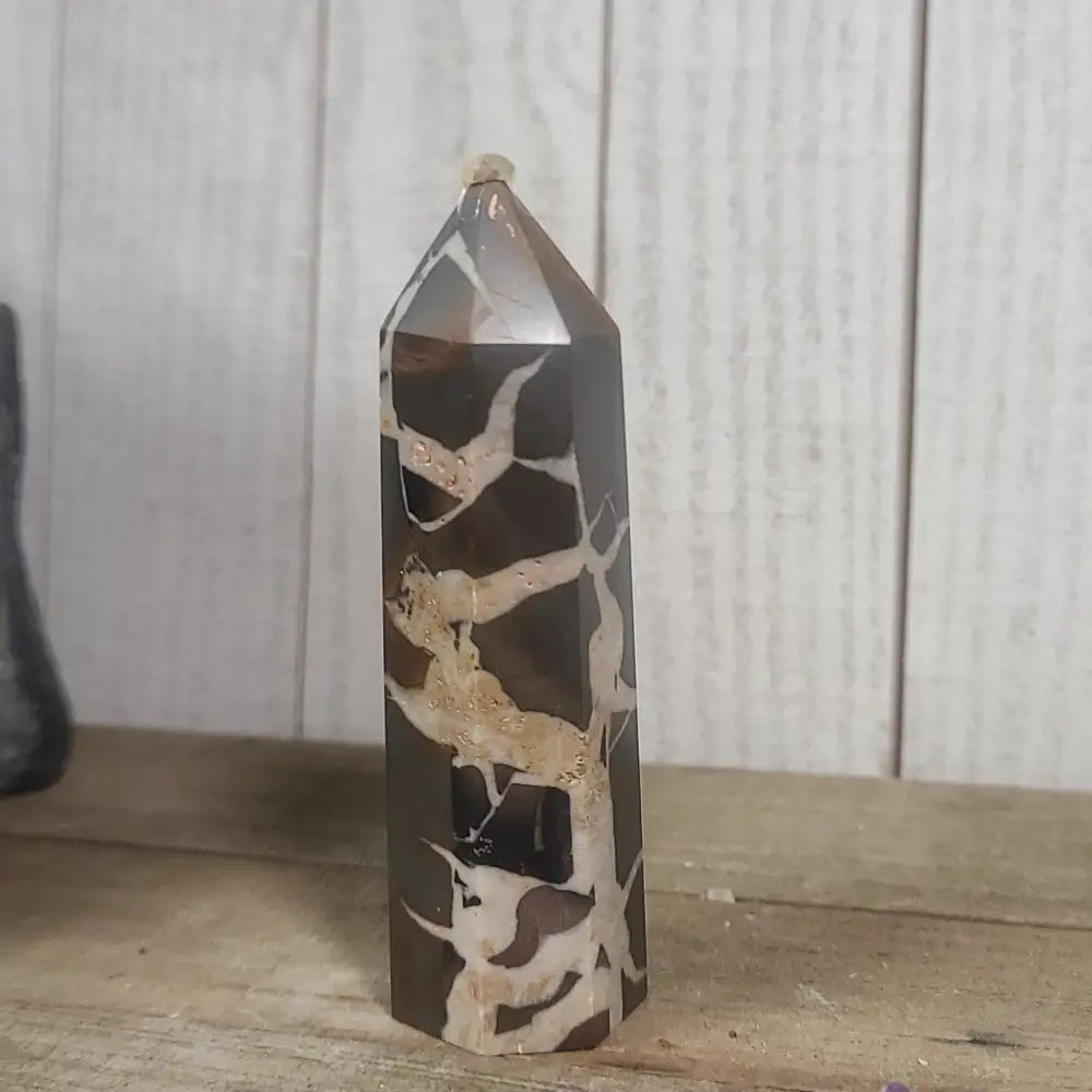 Hand-polished Black Septarian stone featuring bold yellow, brown, and black patterns, displayed on a white background.