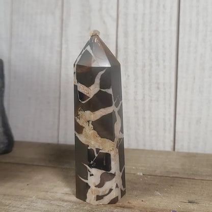 Hand-polished Black Septarian stone featuring bold yellow, brown, and black patterns, displayed on a white background.