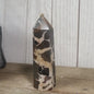 Hand-polished Black Septarian stone featuring bold yellow, brown, and black patterns, displayed on a white background.