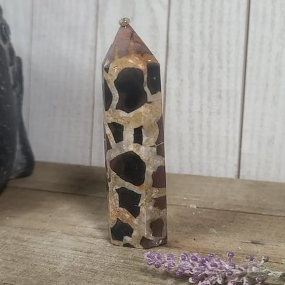 Hand-polished Black Septarian stone featuring bold yellow, brown, and black patterns, displayed on a white background.