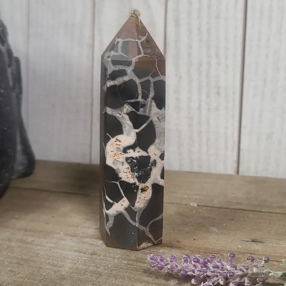 Hand-polished Black Septarian stone featuring bold yellow, brown, and black patterns, displayed on a white background.