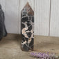 Hand-polished Black Septarian stone featuring bold yellow, brown, and black patterns, displayed on a white background.