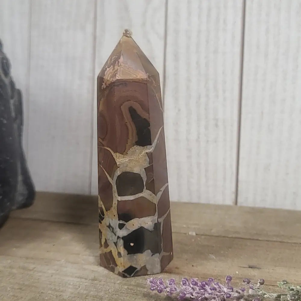 Hand-polished Black Septarian stone featuring bold yellow, brown, and black patterns, displayed on a white background.