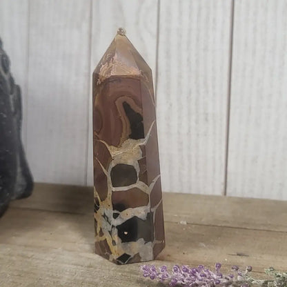 Hand-polished Black Septarian stone featuring bold yellow, brown, and black patterns, displayed on a white background.