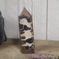 Hand-polished Black Septarian stone featuring bold yellow, brown, and black patterns, displayed on a white background.