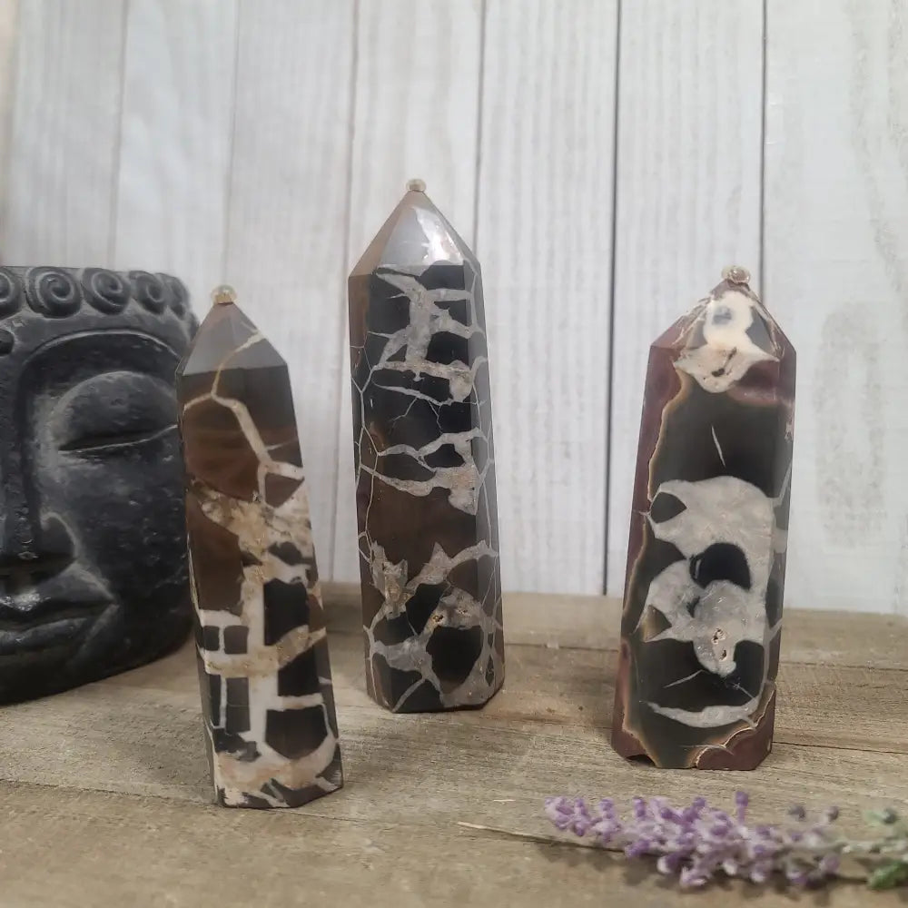 Hand-polished Black Septarian stone featuring bold yellow, brown, and black patterns, displayed on a white background.