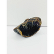 💙✨ Blue Amber Specimen – Illumination Clarity and Ancient Energy 🌌 - Specimens