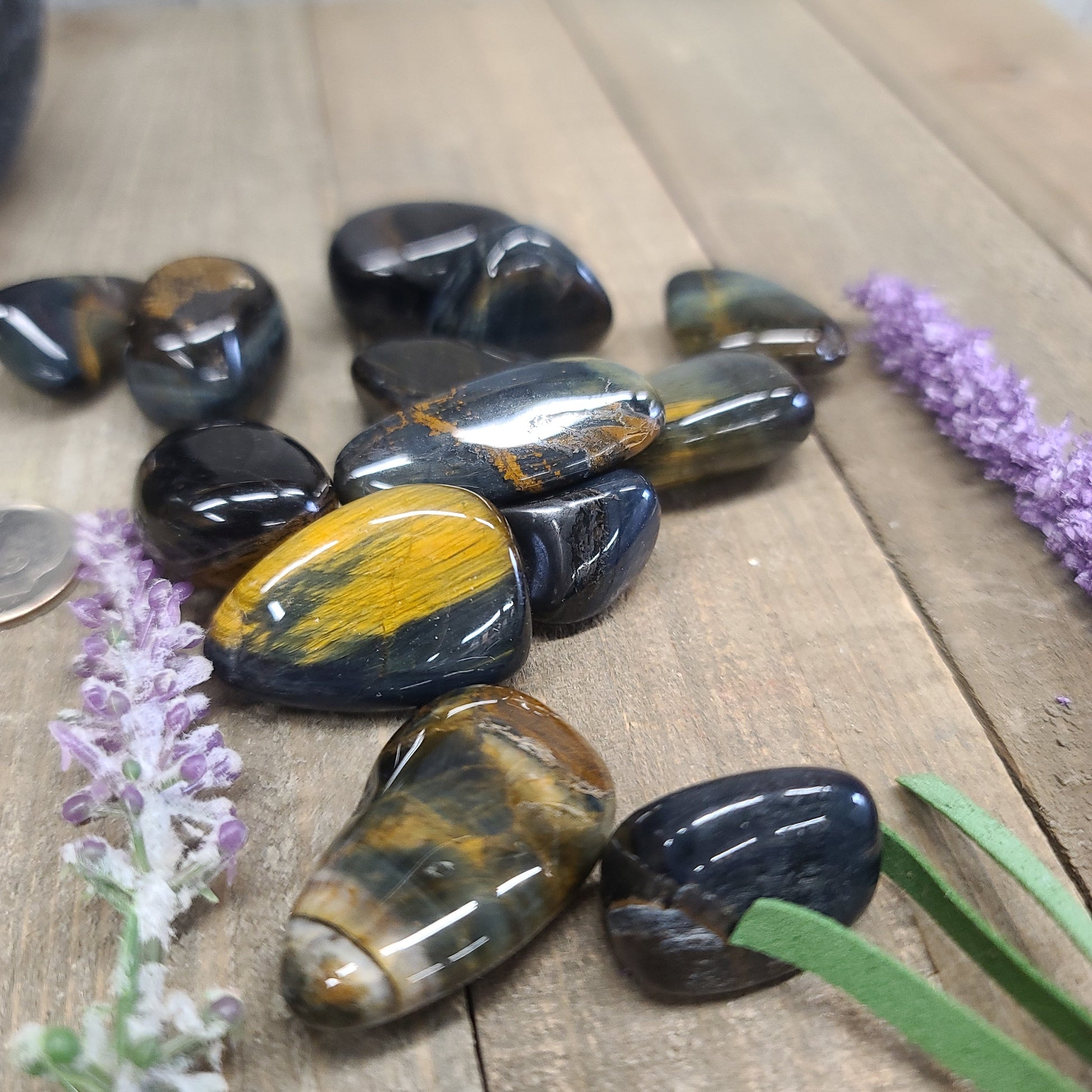 Blue Tiger’s Eye Tumbles - 1 - Tumbles