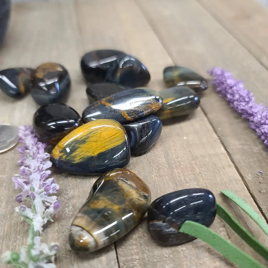 Blue Tiger’s Eye Tumbles - 1 - Tumbles