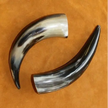 Buffalo Horns - Bones & Pelts
