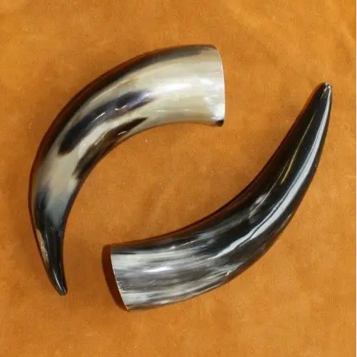 Buffalo Horns - Bones & Pelts