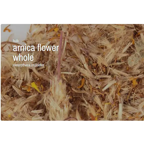 Bulk Herbs by the Half Ounce (.5 oz) - Arnica Flower, whole - Herbs & Accessories