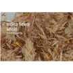 Bulk Herbs by the Half Ounce (.5 oz) - Arnica Flower, whole - Herbs & Accessories
