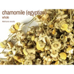 Bulk Herbs by the Half Ounce (.5 oz) - Chamomile Egyptian - Herbs & Accessories
