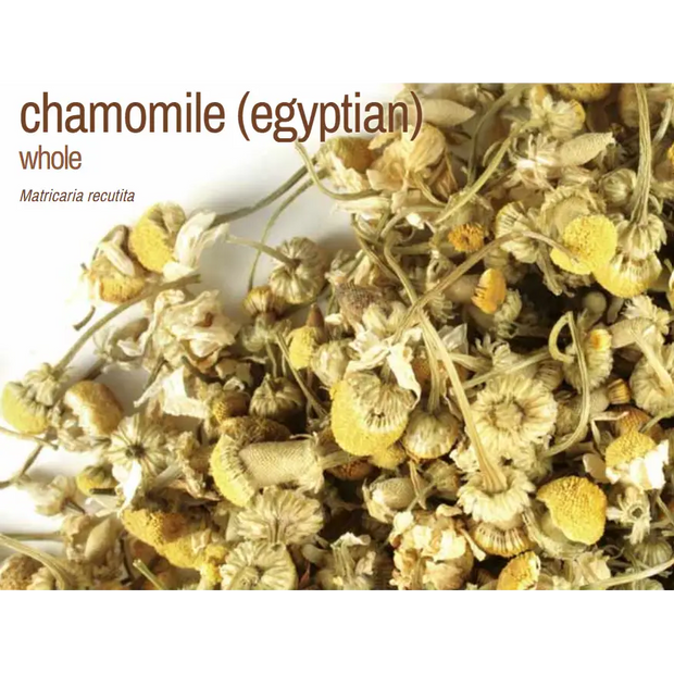 Bulk Herbs by the Half Ounce (.5 oz) - Chamomile Egyptian - Herbs & Accessories