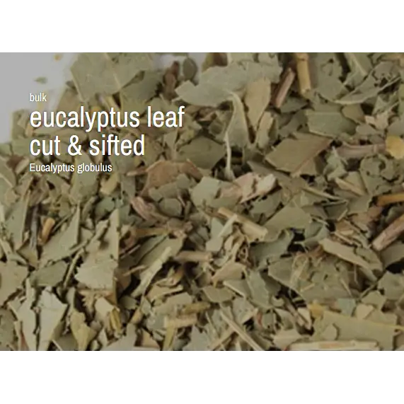 Bulk Herbs by the Half Ounce (.5 oz) - Eucalyptus Leaf - Herbs & Accessories