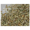 Bulk Herbs by the Half Ounce (.5 oz) - Fennel Seed - Herbs & Accessories