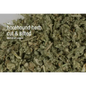 Bulk Herbs by the Half Ounce (.5 oz) - Horehound Herb - Herbs & Accessories