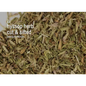 Bulk Herbs by the Half Ounce (.5 oz) - Hyssop Herb - Herbs & Accessories