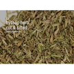 Bulk Herbs by the Half Ounce (.5 oz) - Hyssop Herb - Herbs & Accessories